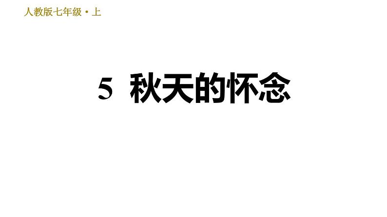 部编版七年级上册语文习题课件 第2单元 5 秋天的怀念01