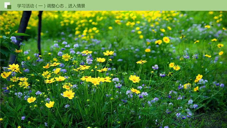 01《春》（课件）第6页