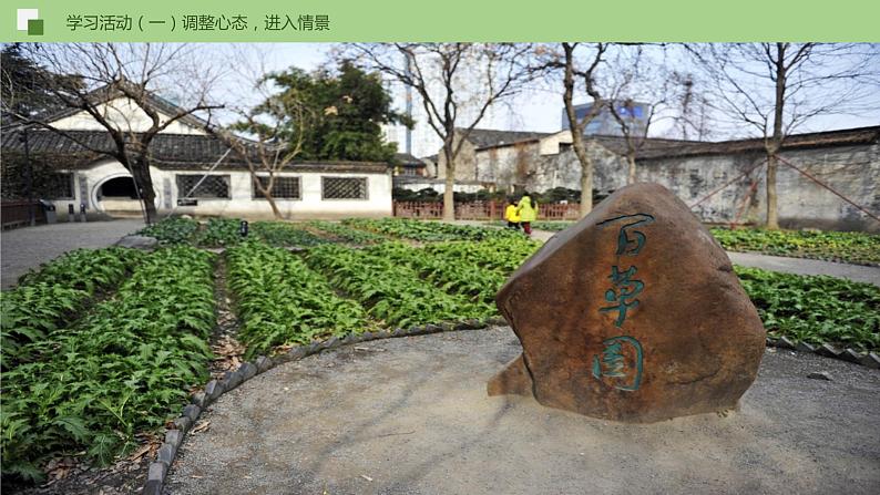 09《从百草园到三味书屋》课件+思维导图+习题+范读07