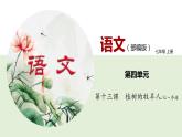 13《植物的牧羊人》课件+思维导图+习题+范读