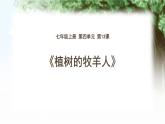 14部编版七年级语文上册《植树的牧羊人》PPT课文课件 (4)