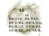 人教部编版八年级语文上册《春望》教学课件2