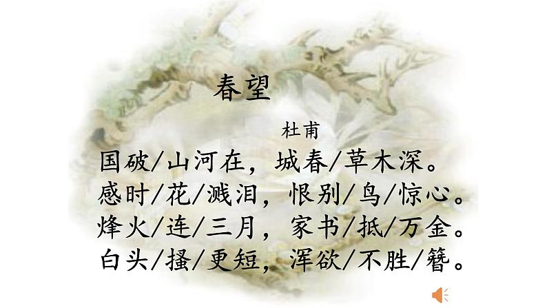 人教部编版八年级语文上册《春望》教学课件2第4页