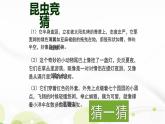 人教部编版八年级语文上册《昆虫记》名著导读 教学课件