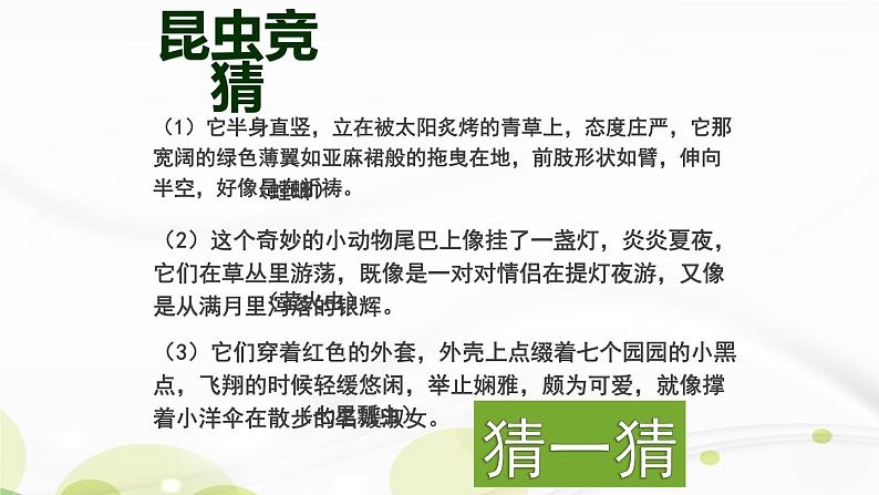 人教部编版八年级语文上册《昆虫记》名著导读 教学课件第3页