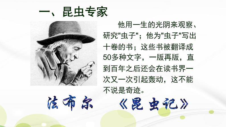 人教部编版八年级语文上册《昆虫记》名著导读 教学课件第4页