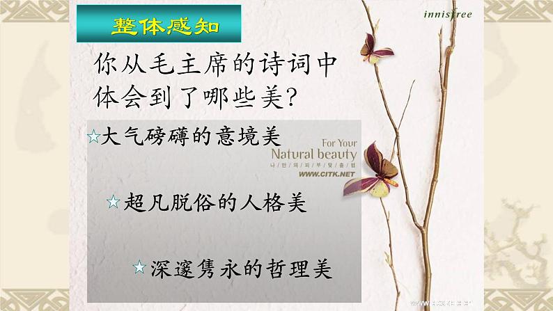 人教部编版九年级语文上册《沁园春·雪》教学课件408