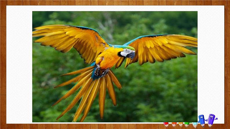 部编版七年级语文上册《动物笑谈》PPT精品课件第5页