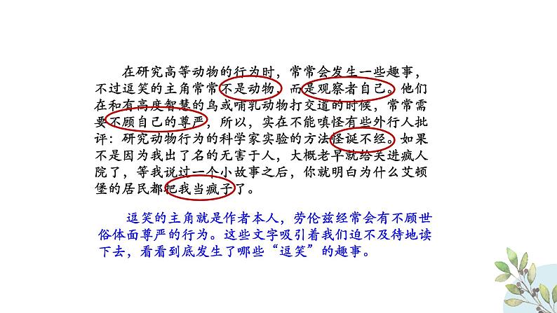 部编版七年级语文上册《动物笑谈》PPT精品课件 (9)07