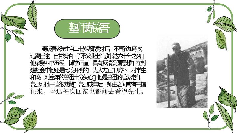 部编版七年级语文上册《从百草园到三味书屋》PPT (6)第5页