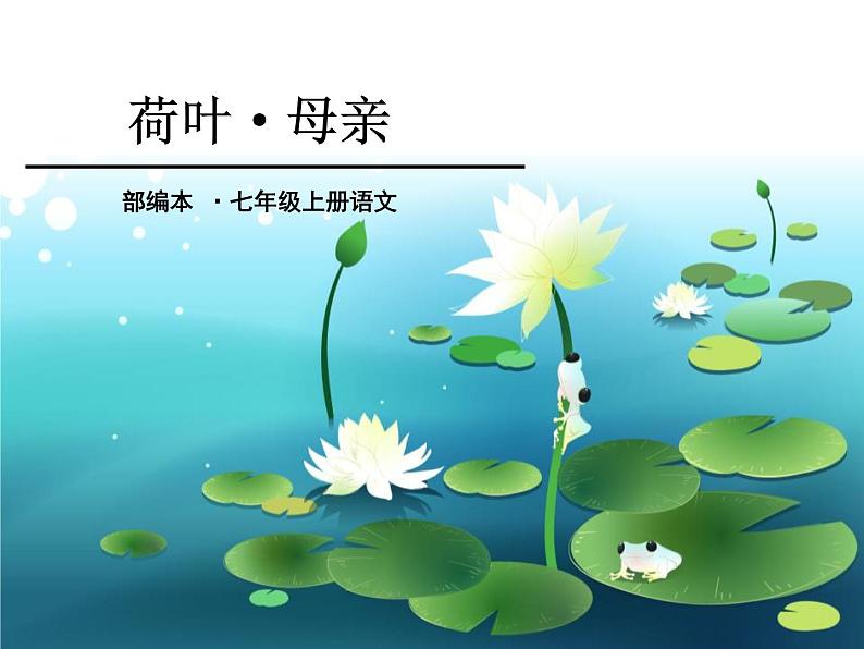 部编版七年级语文上册《荷叶·母亲》PPT优秀课件 (2)第1页