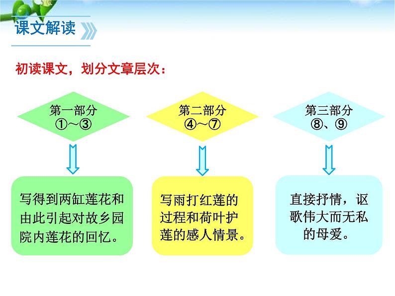 部编版七年级语文上册《荷叶·母亲》PPT优秀课件 (2)第4页
