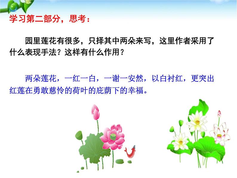 部编版七年级语文上册《荷叶·母亲》PPT优秀课件 (2)第8页