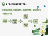 部编版七年级语文上册《荷叶·母亲》PPT课件 (9)