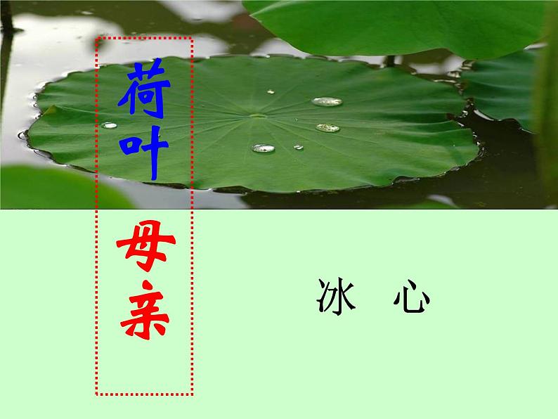 部编版七年级语文上册《荷叶·母亲》PPT优秀课件 (3)01