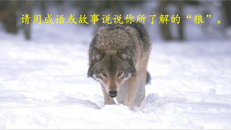 部编版七年级语文上册《狼》PPT课文课件 (4)04