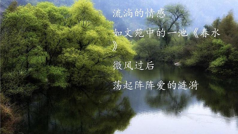 部编版七年级语文上册《荷叶·母亲》PPT优秀课件 (5)04