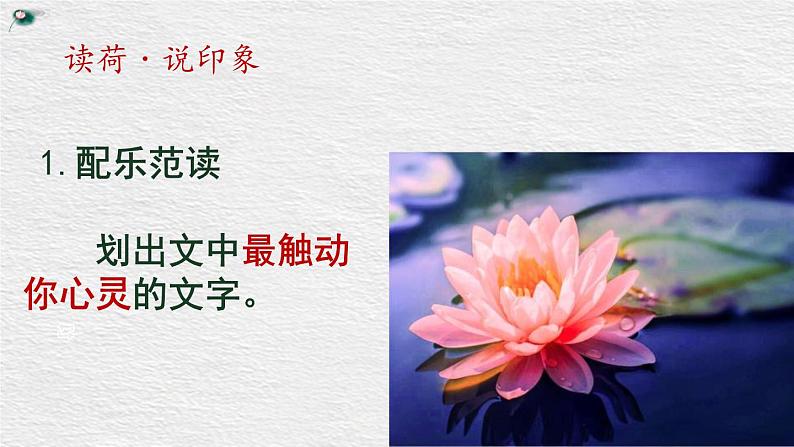 部编版七年级语文上册《荷叶·母亲》PPT优秀课件 (5)08