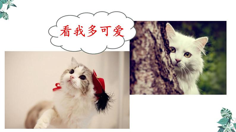 部编版七年级语文上册《猫》PPT教学课件 (2)04