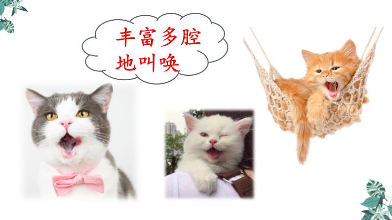 部编版七年级语文上册《猫》PPT教学课件 (2)05