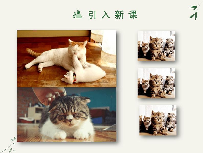 部编版七年级语文上册《猫》PPT教学课件 (7)第5页