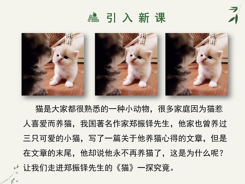 部编版七年级语文上册《猫》PPT教学课件 (7)第6页
