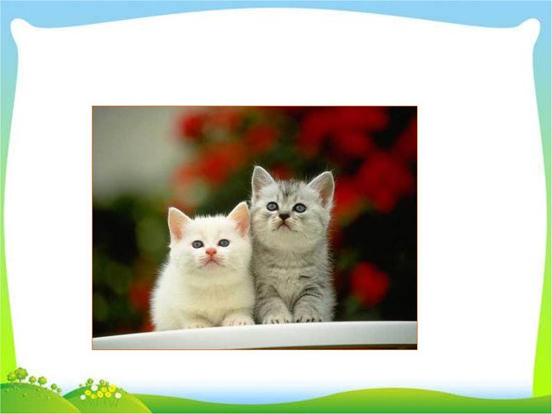 第十七课--猫第2页