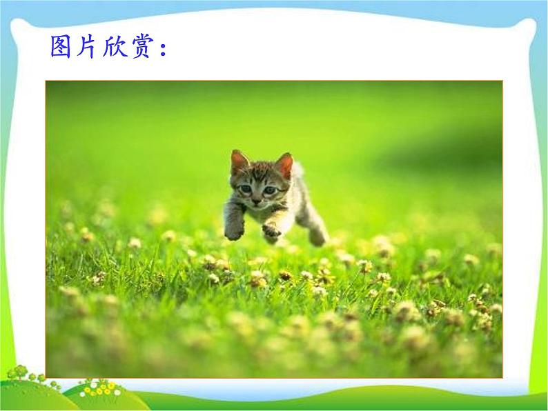 第十七课--猫第6页