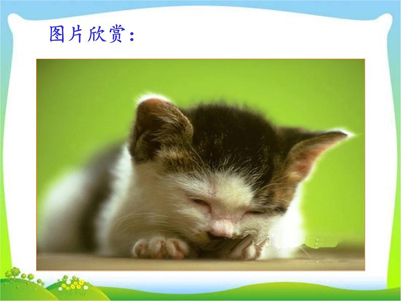 第十七课--猫第7页