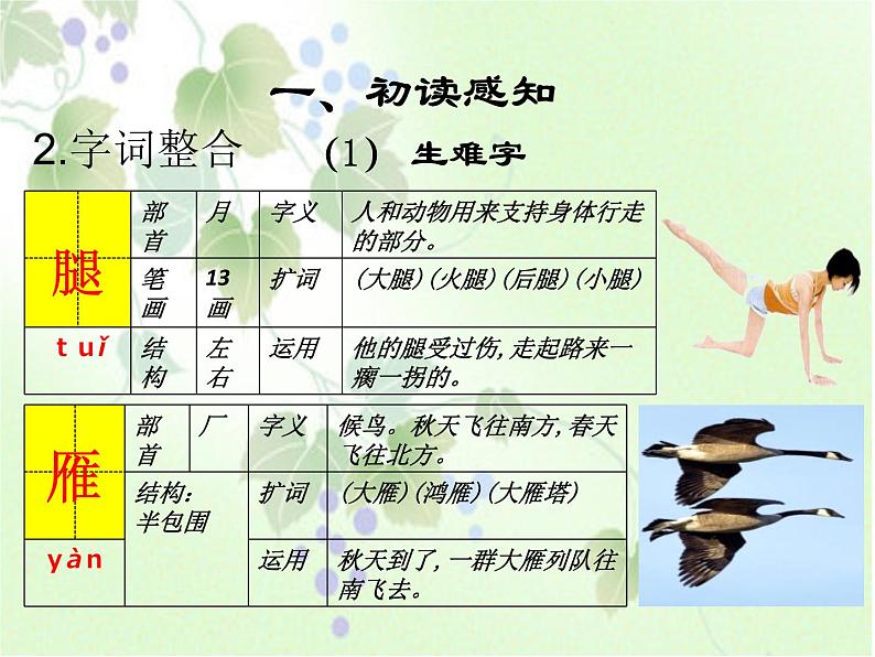 部编版七年级语文上册《秋天的怀念》PPT课文课件 (2)05
