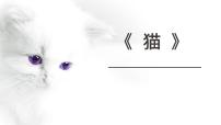 初中语文人教部编版七年级上册综合性学习 少年正是读书时教学课件ppt
