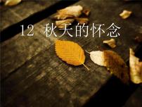 初中语文人教部编版七年级上册5 秋天的怀念课文课件ppt