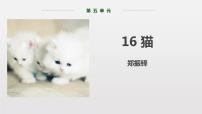 初中语文人教部编版七年级上册综合性学习 少年正是读书时教学课件ppt