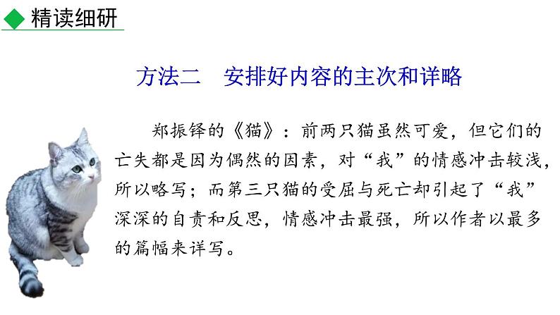 部编版七年级语文上册《如何突出中心》PPT课件 (3)05