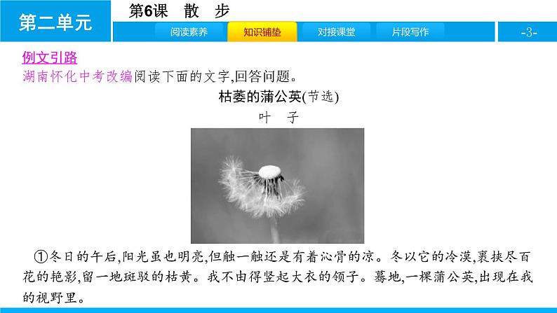 部编版七年级语文上册《散步》PPT优秀课件 (5)第3页