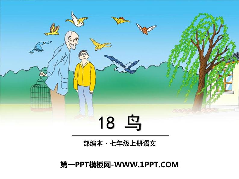 人教版语文七年级上册《鸟》PPT精品课件 (1)01