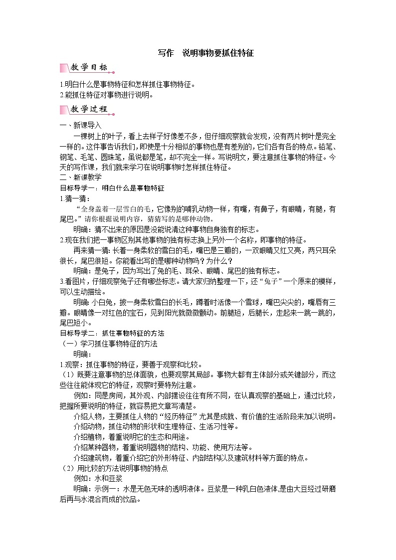 人教版语文八年级上册第五单元写作  说明事物要抓住特征课件+教案01