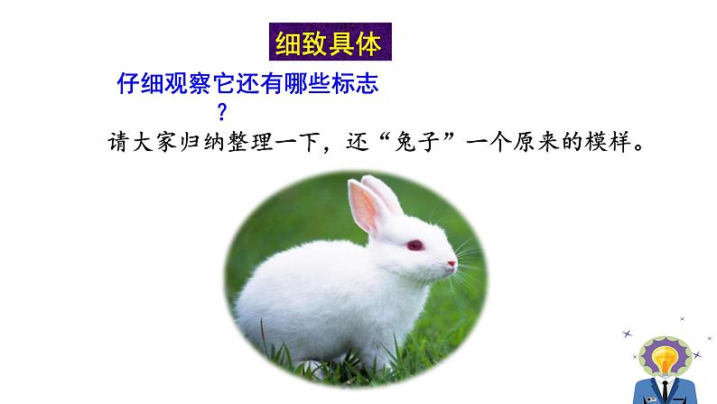 人教版语文八年级上册第五单元写作  说明事物要抓住特征课件+教案05