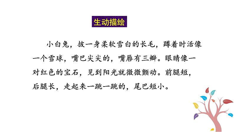 人教版语文八年级上册第五单元写作  说明事物要抓住特征课件+教案07