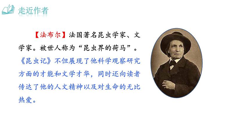 人教版语文八年级上册第五单元名著导读 《昆虫记》：科普作品的阅读课件+教案03