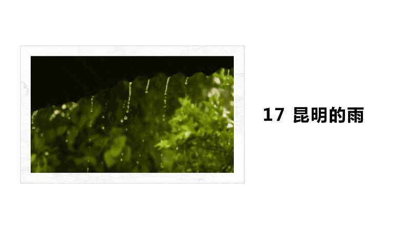 人教版语文八年级上册17  昆明的雨课件+说课稿+教案+导学案+音视频+素材02
