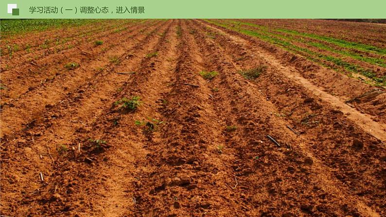 03《我爱这土地》课件+作业+思维导图+素材06