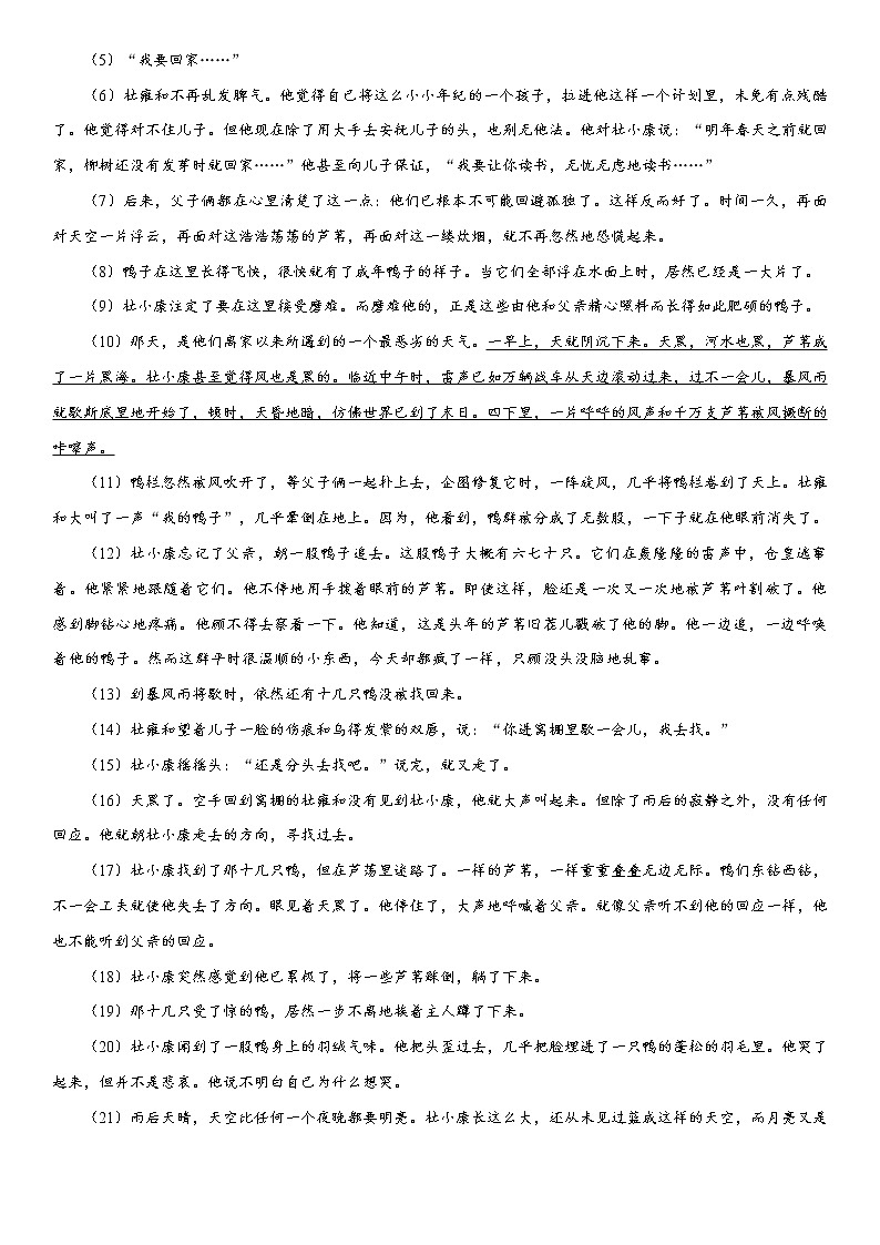 17《孤独之旅》课件+作业+思维导图+素材03