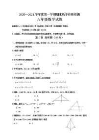 山东省济南市平阴县2020-2021学年八年级上学期期末考试数学试题（word版 含答案）