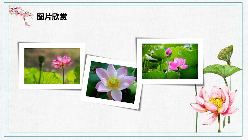 部编版七年级语文下册《爱莲说》PPT课文课件 (6)04