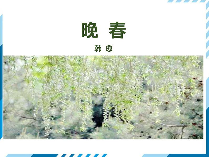 ，部编版七年级语文下册《晚春》PPT教学课件 (2)01