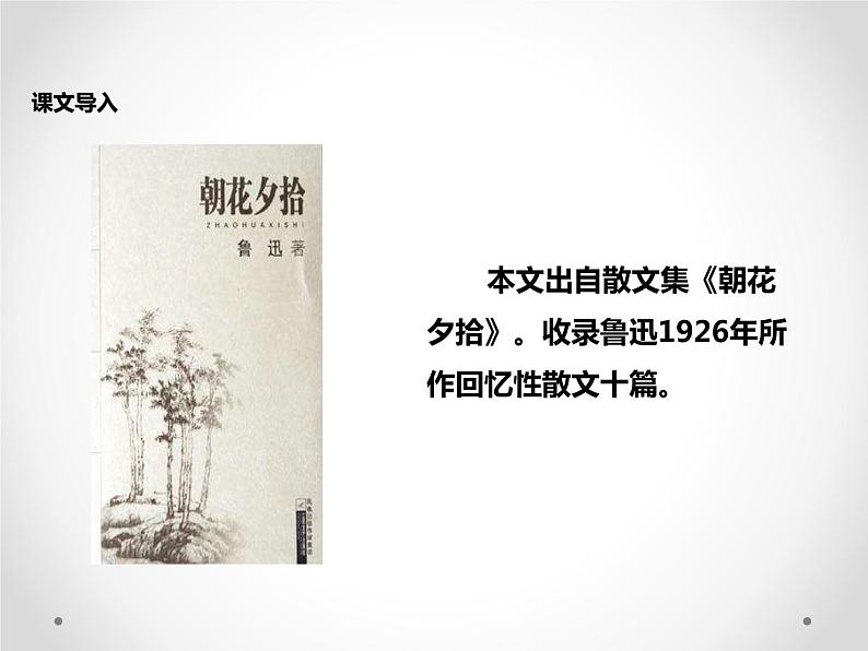 部编版七年级语文下册《阿长与山海经》PPT课件 (2)第3页