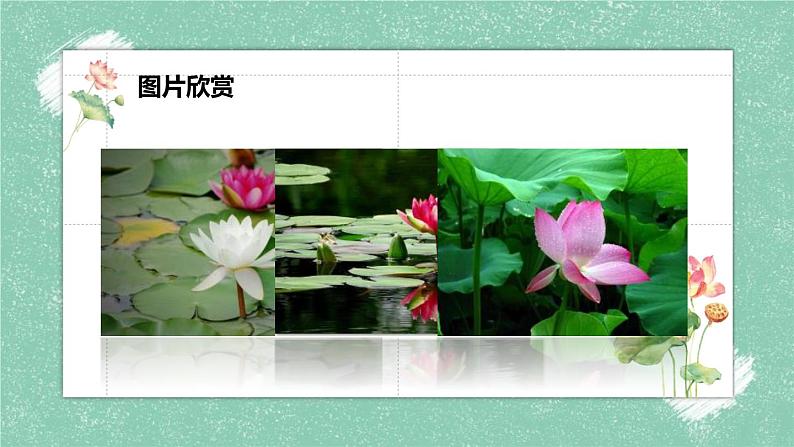 部编版七年级语文下册《爱莲说》PPT课文课件 (2)04