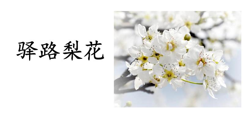 部编版七年级下册语文第4单元《14 (4) ppt01