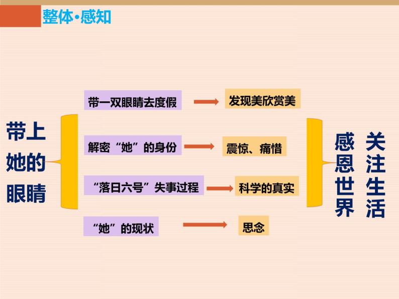 语文人教部编版24带上她的眼睛课文内容ppt课件